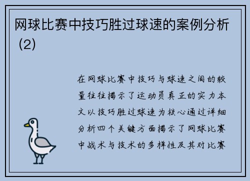 网球比赛中技巧胜过球速的案例分析 (2)